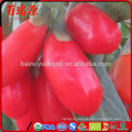 Bulk dice wholesale goji berry ningxia goji Berry makes goji berry extract Top quality